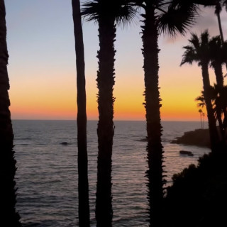 Olivia Sanabia instagram pic #484240