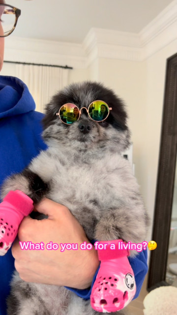 Paris Hilton instagram post 494827