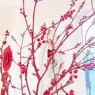 Pham Huong instagram pic #485286