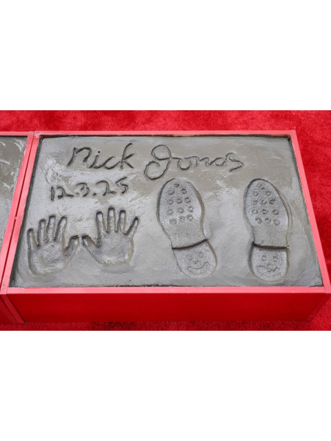 Priyanka Chopra instagram post 497908