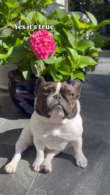 Reese Witherspoon instagram post 493721