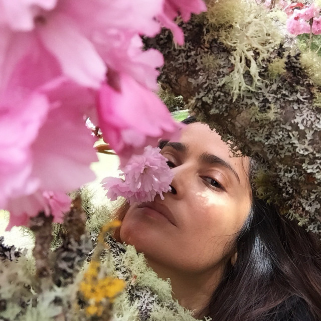 Salma Hayek instagram post 488243