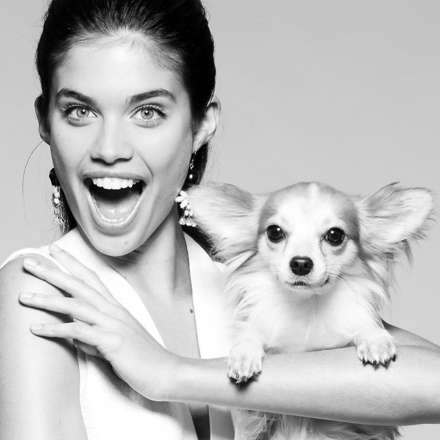 Sara Sampaio instagram post 496138