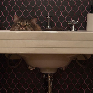 Sarah Jessica Parker instagram pic #490372
