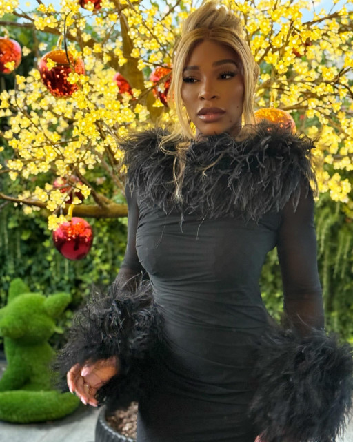 Serena Wiliams instagram post 495850