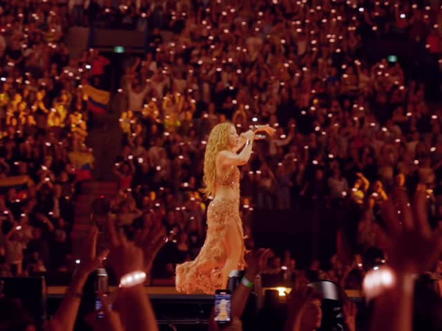 Shakira Mebarak instagram post 493387