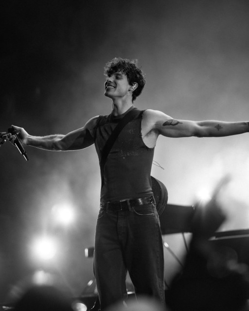 Shawn Mendes instagram post 496588