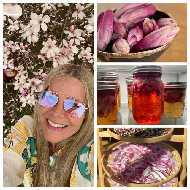 Sheri Moon Zombie instagram post 492696