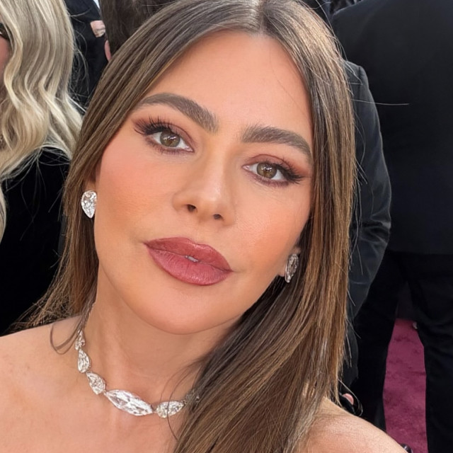 Sofia Vergara instagram post 484332