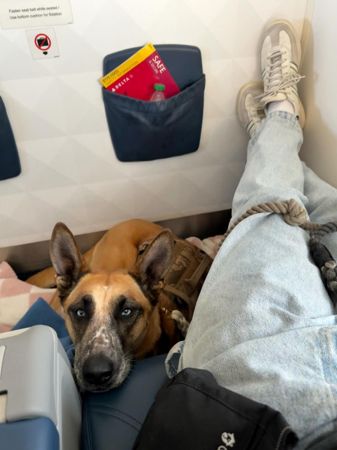 Taylor Lautner instagram post 492314