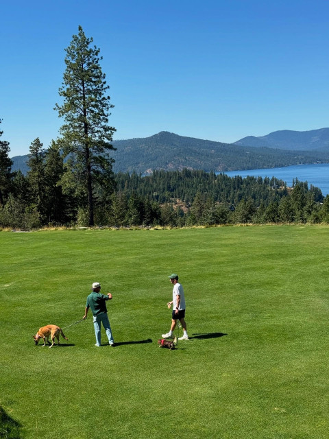 Taylor Lautner instagram post 494552