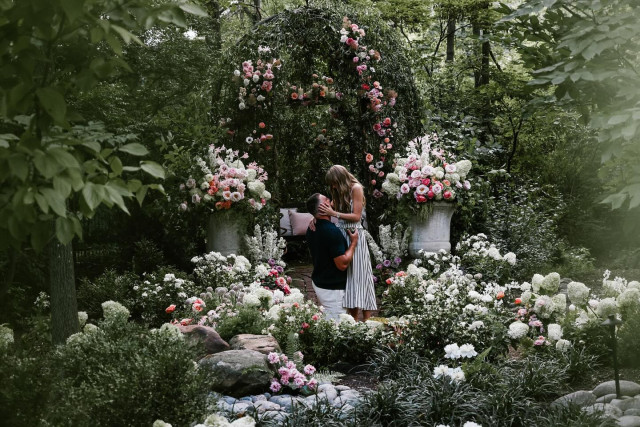 Taylor Swift instagram post 494888