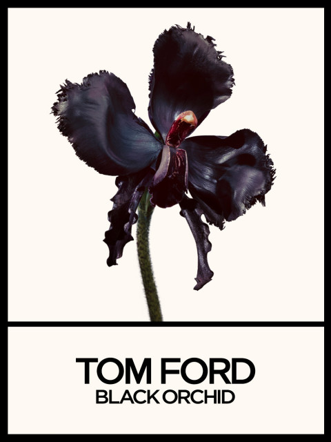 Tom Ford instagram post 497629