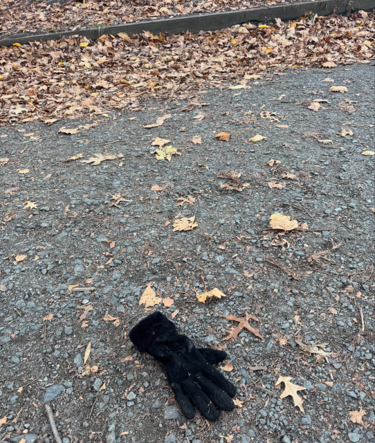 Tom Hanks instagram post 497316