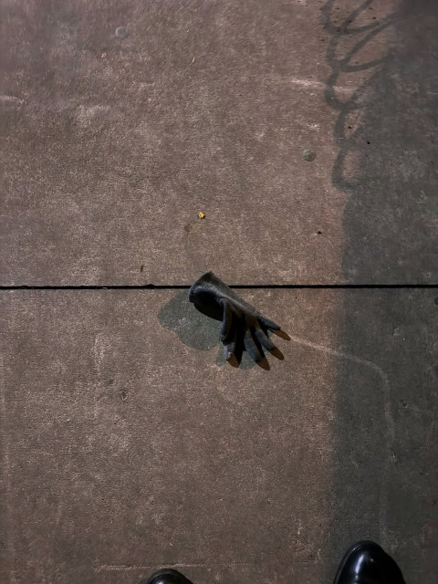 Tom Hanks instagram post 498126