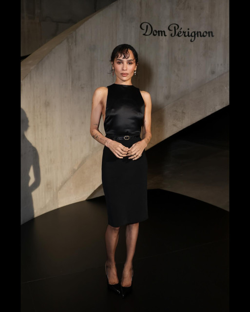 Zoe Kravitz instagram post 490797