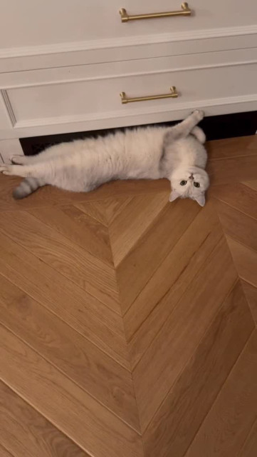 Zooey Deschanel instagram post 497824