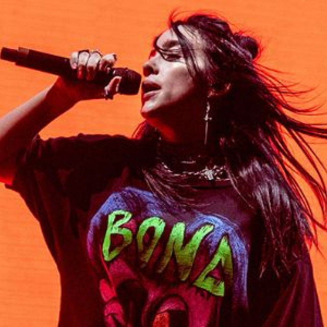 Billie Eilish believes that she has achieved all the goals