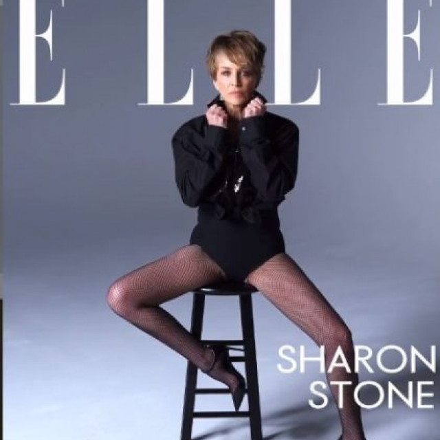 Sharon Stone, 63, posed spectacularly for a glossy