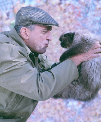 Robert Deniro pic #34603