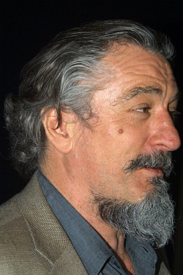 Robert Deniro pic #65024