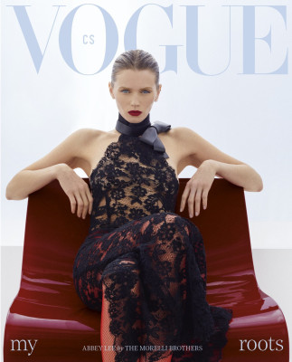 Abbey Lee Kershaw pic #1333593