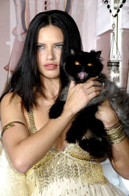 Adriana Lima pic #153904