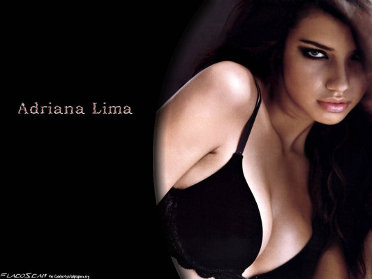 photo 17 in Lima gallery [id165026] 2009-06-25 00:00:00