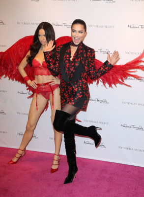 photo 17 in Adriana Lima gallery [id816472] 2015-12-02 00:00:00