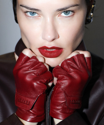 Adriana Lima pic #1373822