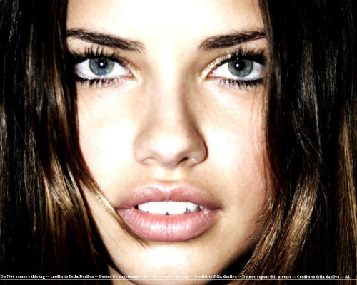 photo 6 in Lima gallery [id151204] 2009-04-29 00:00:00