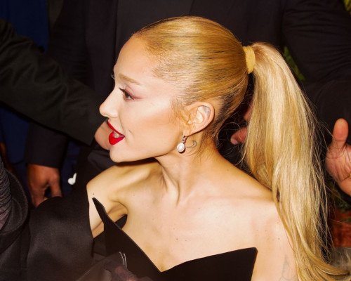 photo 3 in Ariana gallery [id1339348] 2023-12-24 00:00:00