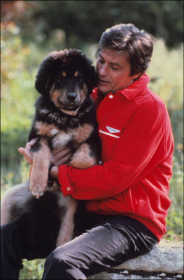 photo 6 in Alain Delon gallery [id491680] 2012-05-23 00:00:00