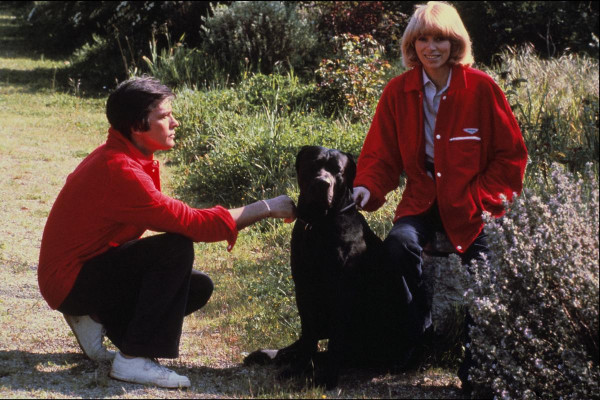 Alain Delon pic #464770