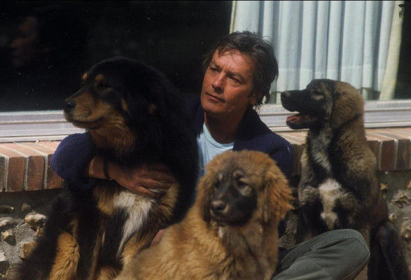 Alain Delon pic #485645