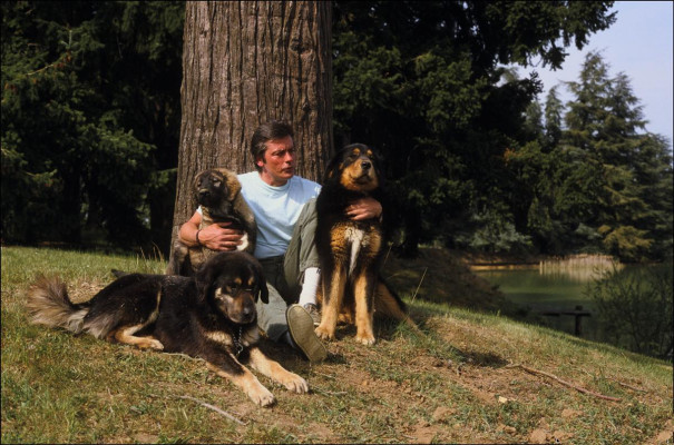 Alain Delon pic #485918