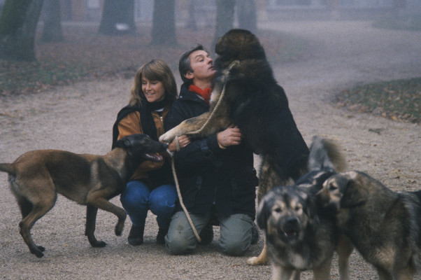 Alain Delon pic #478792