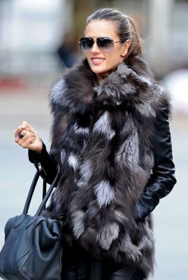 Alessandra Ambrosio pic #420437