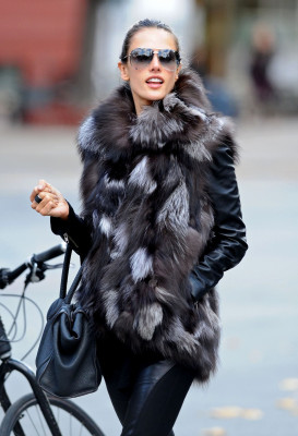 Alessandra Ambrosio pic #420435