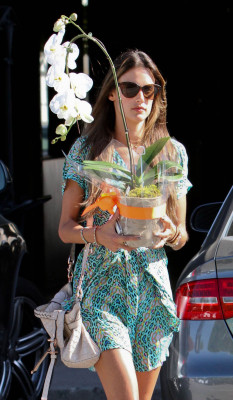Alessandra Ambrosio pic #597514