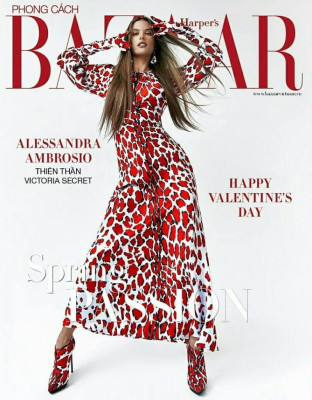 Alessandra Ambrosio pic #1108491