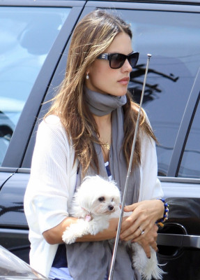 Alessandra Ambrosio pic #502841