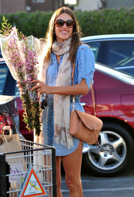 Alessandra Ambrosio pic #511232