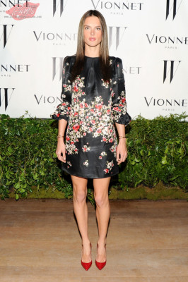 Alessandra Ambrosio pic #653452