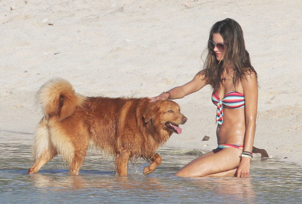 Alessandra Ambrosio pic #573296