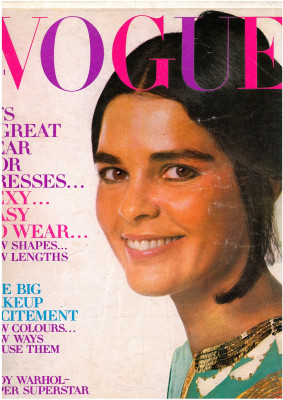 photo 26 in Ali MacGraw gallery [id355166] 2011-03-11 00:00:00