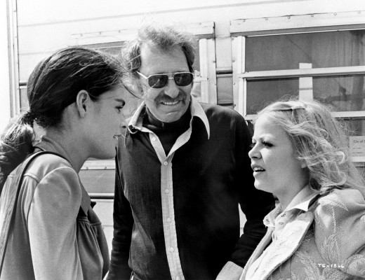 Ali MacGraw pic #228011