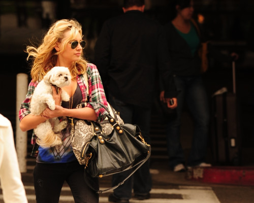 photo 14 in Aly and Aj gallery [id339309] 2011-02-14 00:00:00