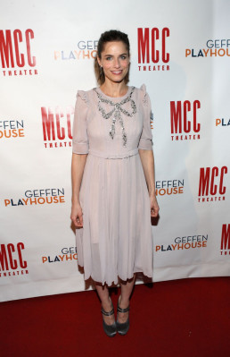 photo 14 in Amanda Peet gallery [id308807] 2010-11-25 00:00:00