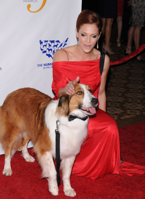 photo 27 in Amanda Righetti gallery [id379303] 2011-05-19 00:00:00